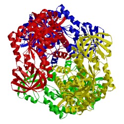 Image of CATH 1pky