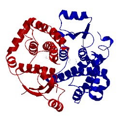 Image of CATH 1pkz