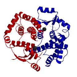 Image of CATH 1pl2