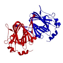 Image of CATH 1pm7