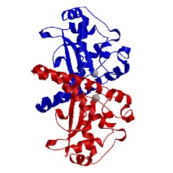 Image of CATH 1pm9