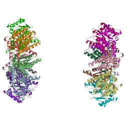 Image of CATH 1pma