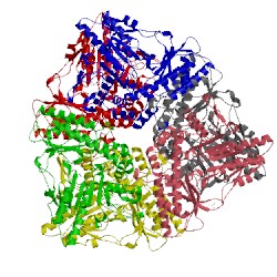 Image of CATH 1pmo