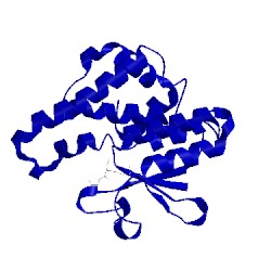 Image of CATH 1pmt