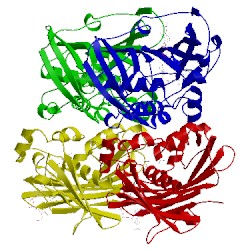 Image of CATH 1pn4
