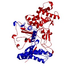 Image of CATH 1pnl