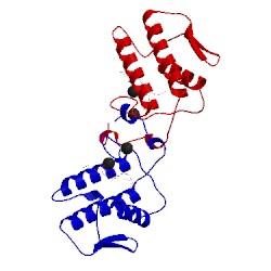 Image of CATH 1pob