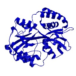 Image of CATH 1pot