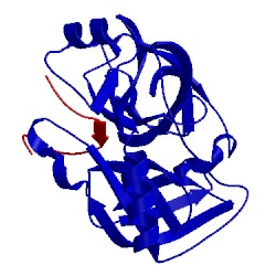 Image of CATH 1ppe