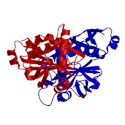 Image of CATH 1prx