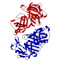 Image of CATH 1psa