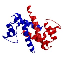 Image of CATH 1psb