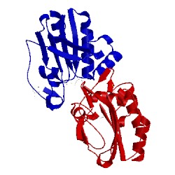 Image of CATH 1psq