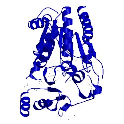 Image of CATH 1psw