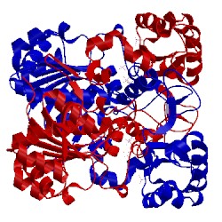 Image of CATH 1pt7