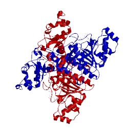 Image of CATH 1pt8