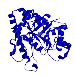 Image of CATH 1pta