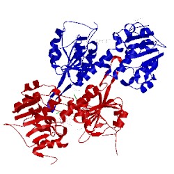 Image of CATH 1ptj