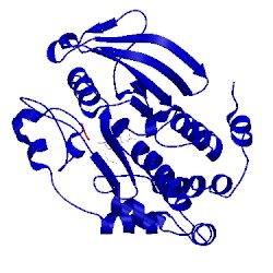 Image of CATH 1ptt