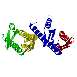Image of CATH 1pug