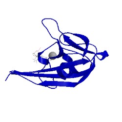 Image of CATH 1pus