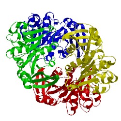 Image of CATH 1pv1