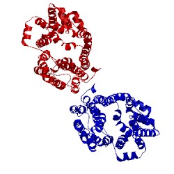 Image of CATH 1pv6