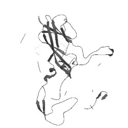 Image of CATH 1pvc