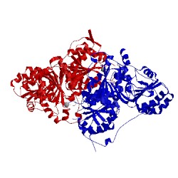 Image of CATH 1pvd