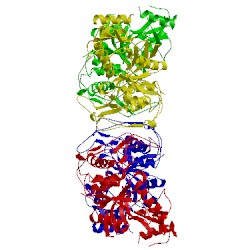 Image of CATH 1pvj