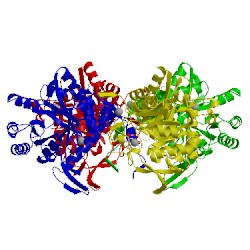 Image of CATH 1pvn