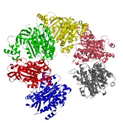 Image of CATH 1pvo