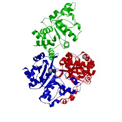 Image of CATH 1pvw