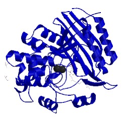 Image of CATH 1pw1