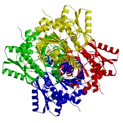 Image of CATH 1pwh