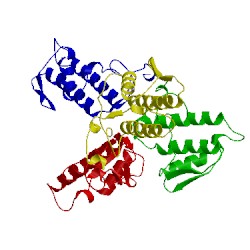 Image of CATH 1pwo