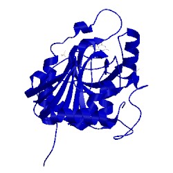 Image of CATH 1pwy