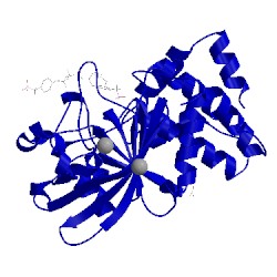Image of CATH 1pxh