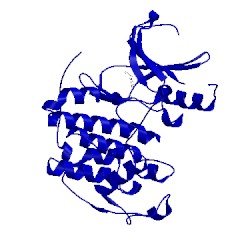 Image of CATH 1pxi