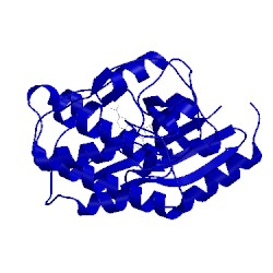 Image of CATH 1pxp