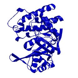 Image of CATH 1pyf