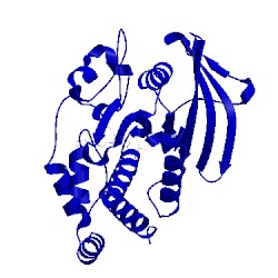 Image of CATH 1pyn