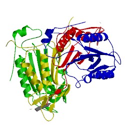 Image of CATH 1pyo