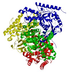 Image of CATH 1pzf