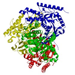 Image of CATH 1pzg