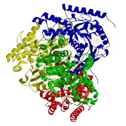 Image of CATH 1pzh