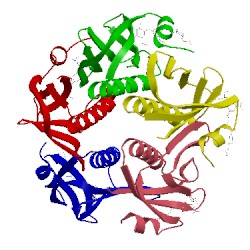 Image of CATH 1pzj