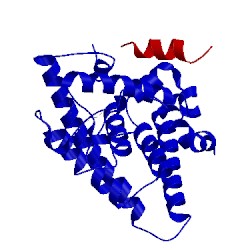 Image of CATH 1pzl