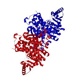 Image of CATH 1q0q