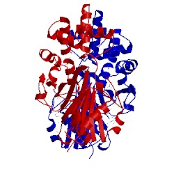 Image of CATH 1q18